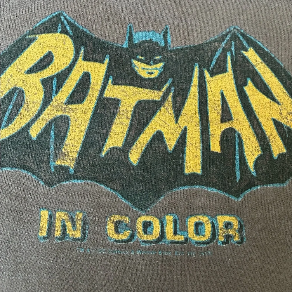 BATMAN Classic TV In Color Youth Pullover Retro Hoodie